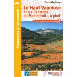 HAUT VAUCLUSE ET DENTELLES DE MONTMIRAIL P843