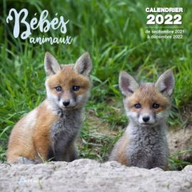 CALENDRIER BEBES ANIMAUX 2022