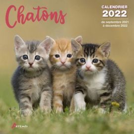 CALENDRIER CHATONS 2022