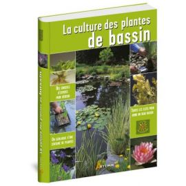PLANTES DE BASSIN