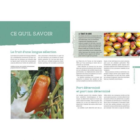 LA CULTURE DES TOMATES