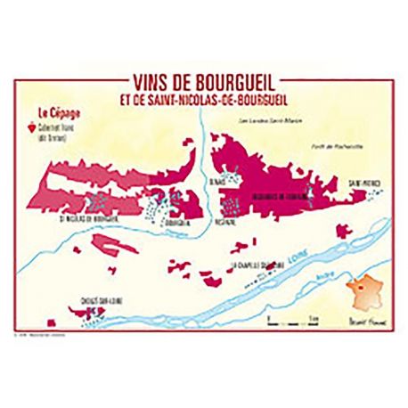 VINS DE BOURGUEIL ET DE ST-NICOLAS CARTES POSTALES