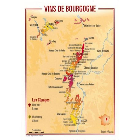 VINS DE BOURGOGNE CARTES POSTALES