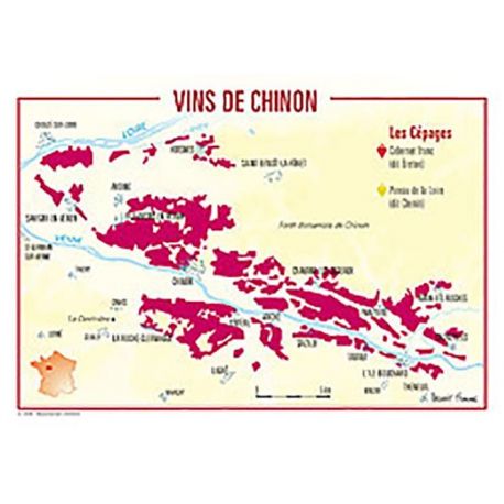 VINS DU CHINON CARTES POSTALES