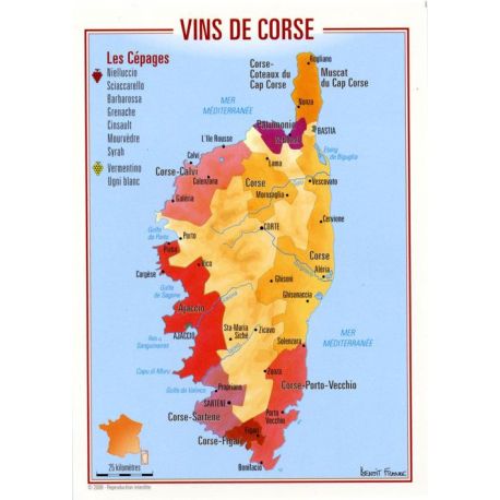 VINS DE CORSE CARTES POSTALES