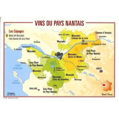 VINS DU PAYS NANTAIS CARTES POSTALES