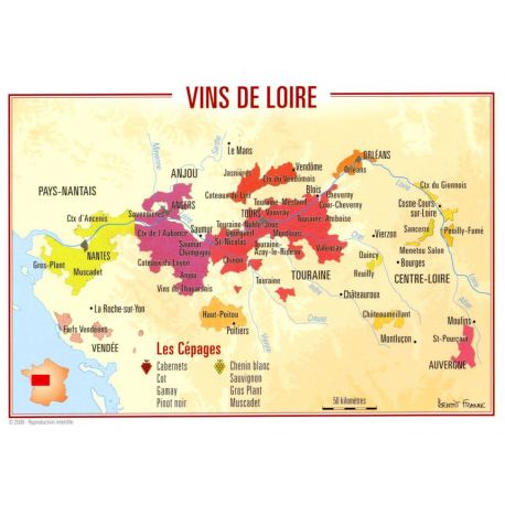 VINS DE LOIRE CARTES POSTALES