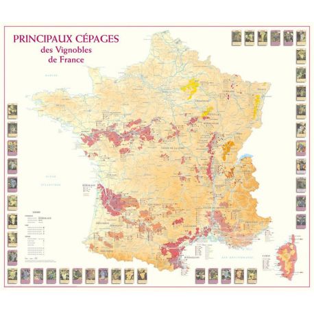 PRINCIPAUX CEPAGES VIGNOBLES DE FRANCE