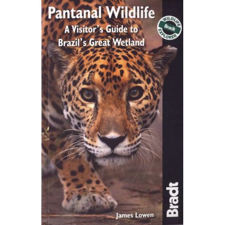 PANTANAL WILDLIFE A VISITOR'S GUIDE TO BRAZIL'S