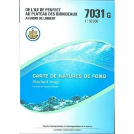 7031G ABORDS DE LORIENT ILE DE DE PENFRET AU PLATEAU BIRVIDEAUX