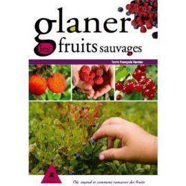 GLANER LES FRUITS SAUVAGES