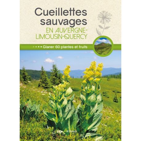 CUEILLETTES SAUVAGES EN AUVERGNE LIMOUSIN QUERCY