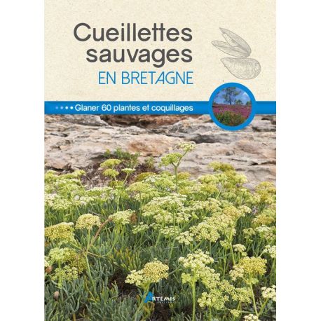 CUEILLETTES SAUVAGES EN BRETAGNE