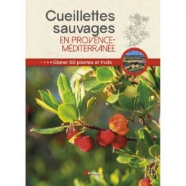 CUEILLETTES SAUVAGES EN PROVENCE MEDITERRANEE