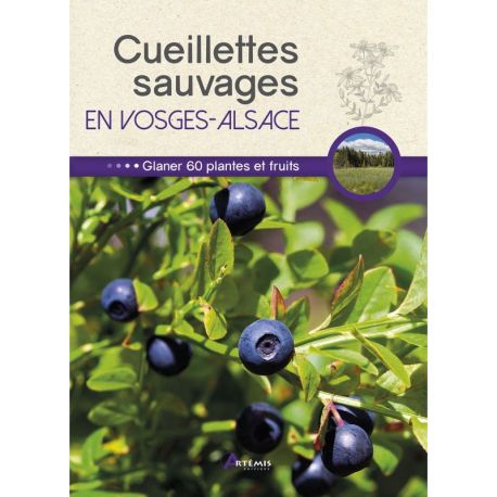 CUEILLETTES SAUVAGES EN VOSGES ALSACE