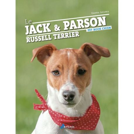 JACK ET LE PARSON RUSSELL TERRIER