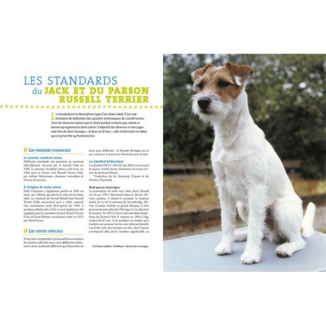 JACK ET LE PARSON RUSSELL TERRIER