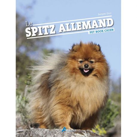 SPITZ ALLEMAND