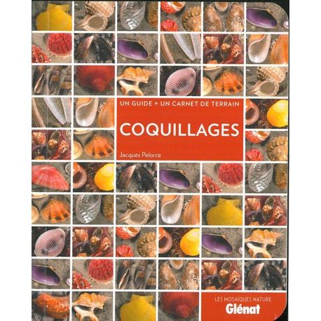 COQUILLAGES