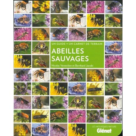 ABEILLES SAUVAGES