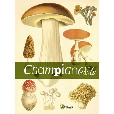 CHAMPIGNONS