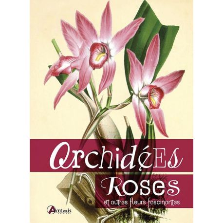 ORCHIDEES ROSES ET AUTRES FLEURS FASCINANTES