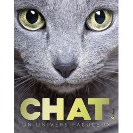 CHATS UN UNIVERS FABULEUX