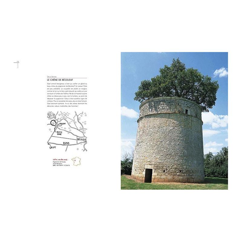 rencontre avec des arbres remarquables
