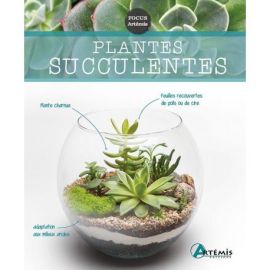 PLANTES SUCCULENTES