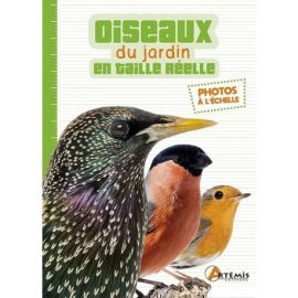 OISEAUX DU JARDIN EN TAILLE REELLE