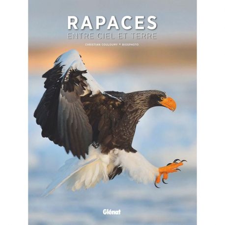 RAPACES ENTRE CIEL ET TERRE