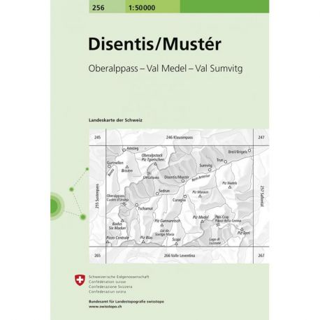 DISENTIS-MUSTER