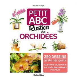 ORCHIDEES - 250 DESSINS GESTE PAR GESTE