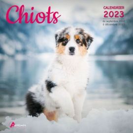 CALENDRIER CHIOTS 2023