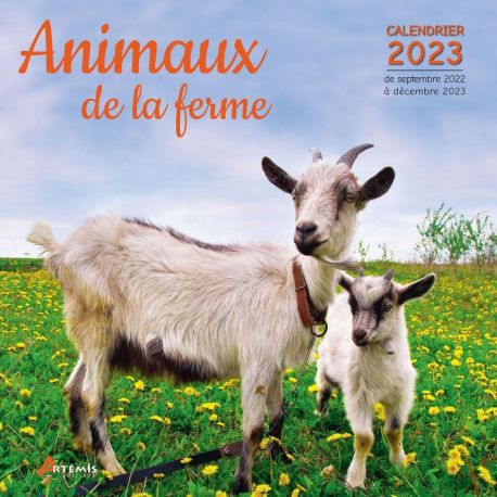 Calendrier Champignon 2023 Periodique Calendrier Animaux De La Ferme 2023 | Cartotheque.com
