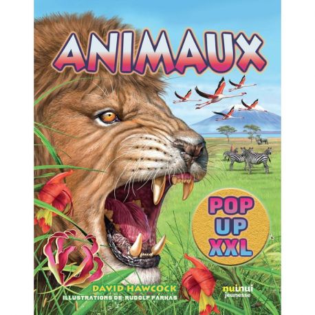 ANIMAUX XXL POP-UP