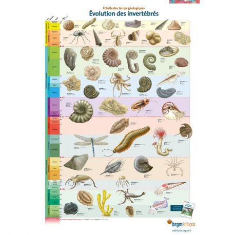 ECHELLE DES TEMPS GEOLOGIQUES 3POSTERS-EVOL.DES VERTEBRES/INVERT.