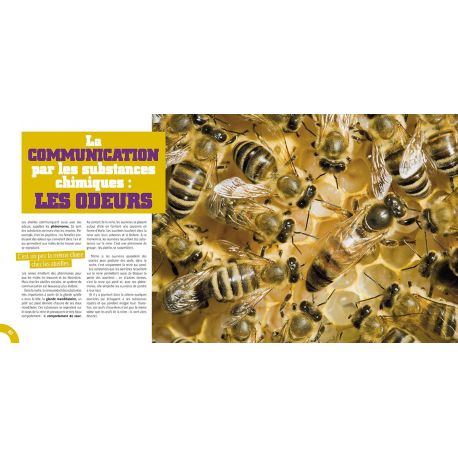 LE MONDE EXTRAORDINAIRE DES ABEILLES