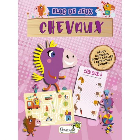 PETIT BLOC DE JEUX CHEVAUX - 7 ANS ET +