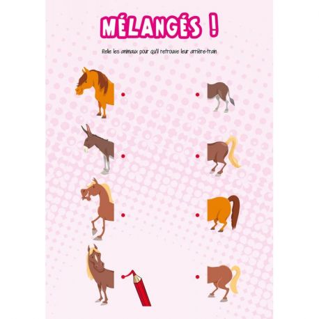 PETIT BLOC DE JEUX CHEVAUX - 7 ANS ET +