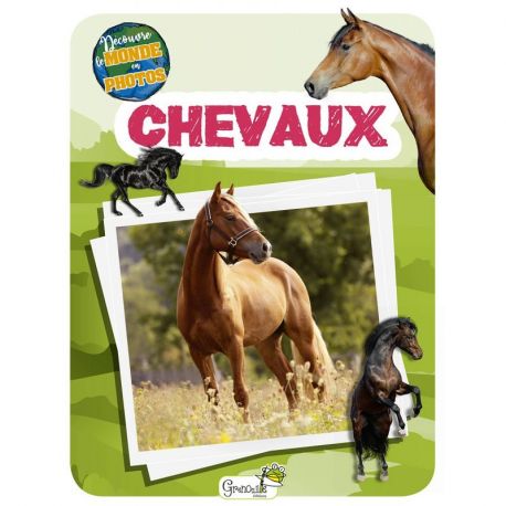 CHEVAUX - DECOUVRE LE MONDE EN PHOTOS