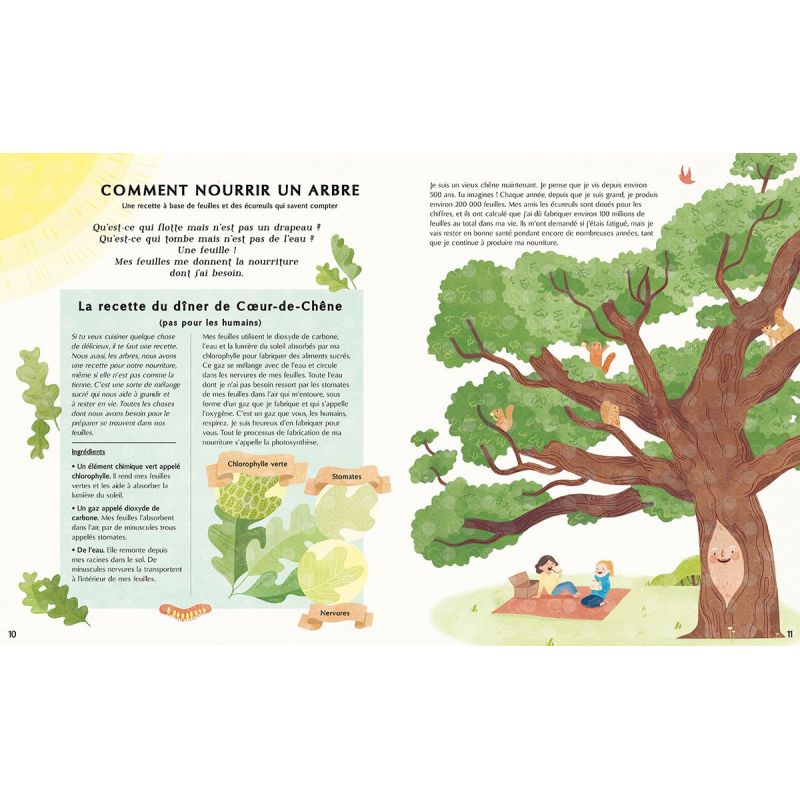 La Vie secrète des arbres, édition illustrée
