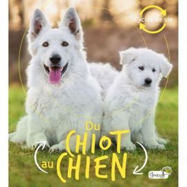 DU CHIOT AU CHIEN