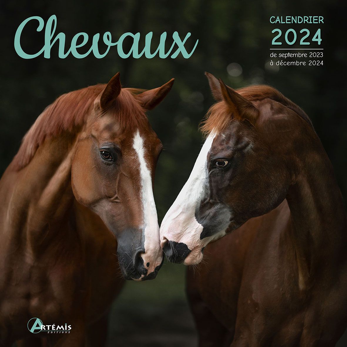 Calendrier Chevaux 2023
