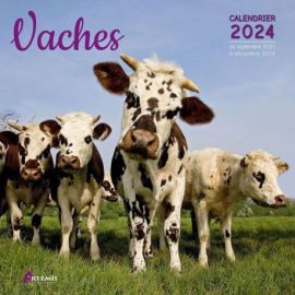 CALENDRIER VACHES 2024