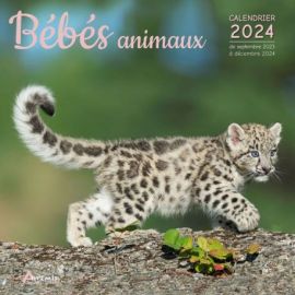 CALENDRIER BEBES ANIMAUX 2024