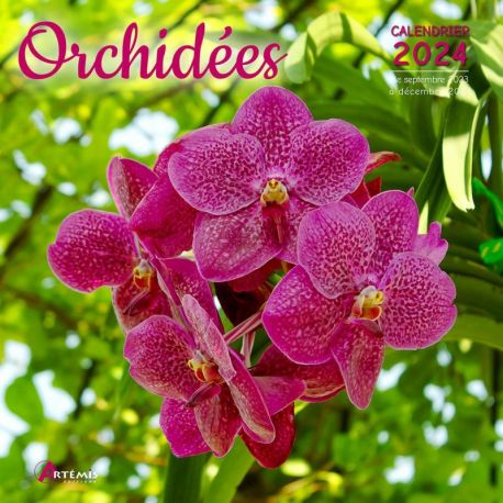 CALENDRIER ORCHIDEES 2024