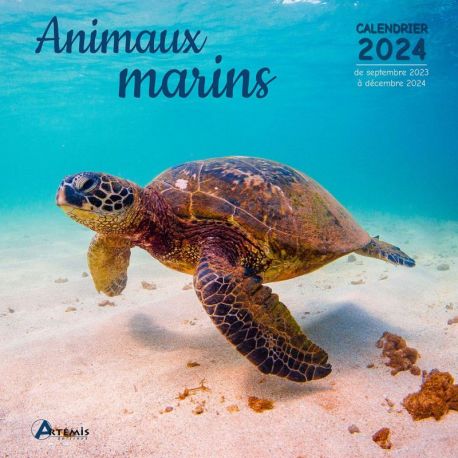 CALENDRIER ANIMAUX MARINS 2024