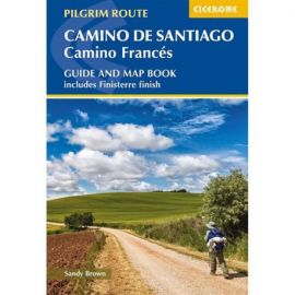 CAMINO DE SANTIAGO : CAMINO FRANCES