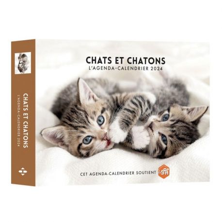 CHATS ET CHATONS 2024 AGENDA - CALENDRIER